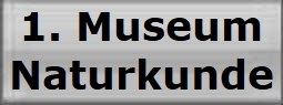 1. Museum
Naturkunde